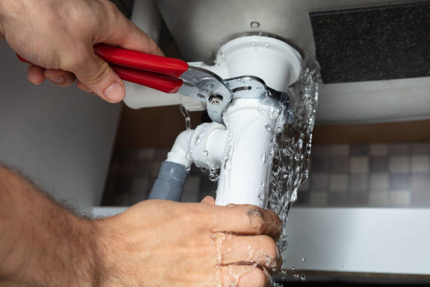 Best Mold removal after water damage  in Gloucester City, NJ