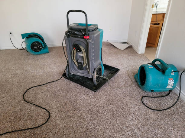 Best Flood damage cleanup  in Gloucester City, NJ