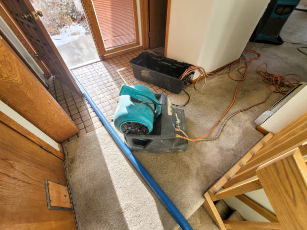 Best Water damage restoration near me  in Gloucester City, NJ