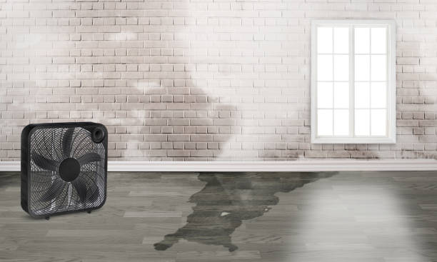 Best Local water damage restoration  in Gloucester City, NJ