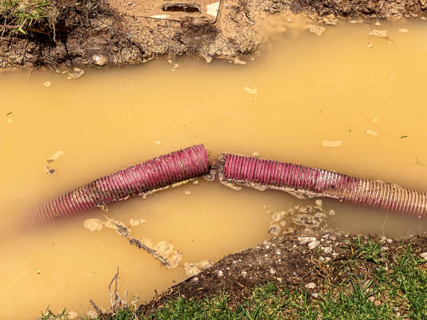 Best Flood restoration services  in Gloucester City, NJ