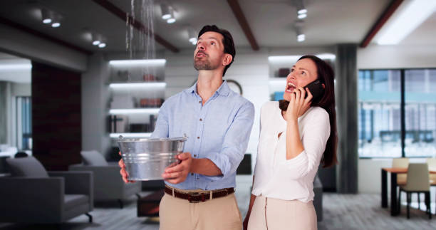 Best Fire Damage Restoration  in Gloucester City, NJ